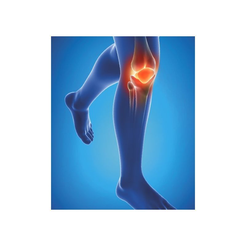 EPITACT KNEE BAND MEDICAL pour le genou douloureux et l'arthrose