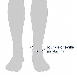 Schéma tour de cheville