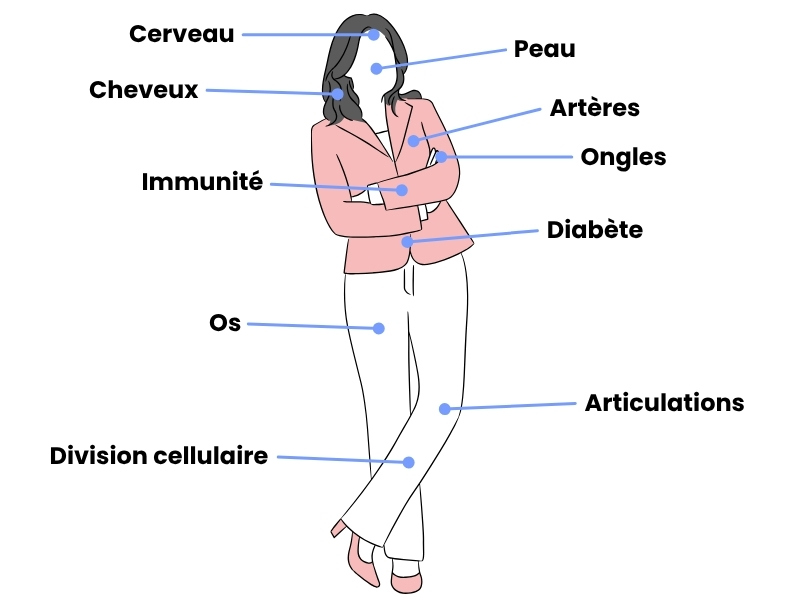 silicium-organique-bienfaits.jpg