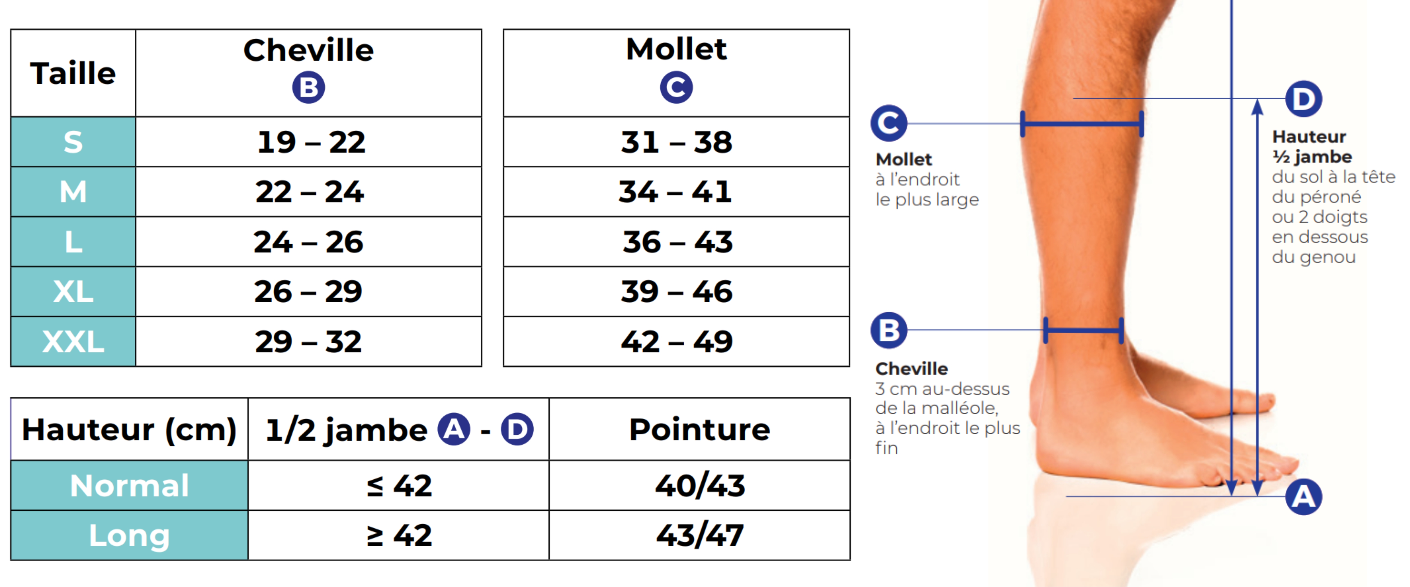 Tableau de taillage chaussettes de contention Active Coton Bio 55% (Homme) Classe 2