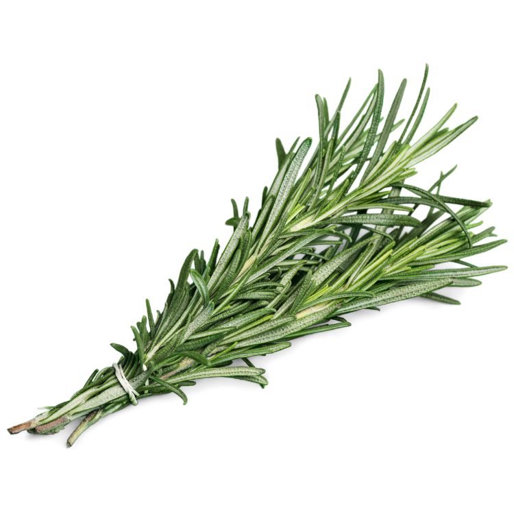 romarin