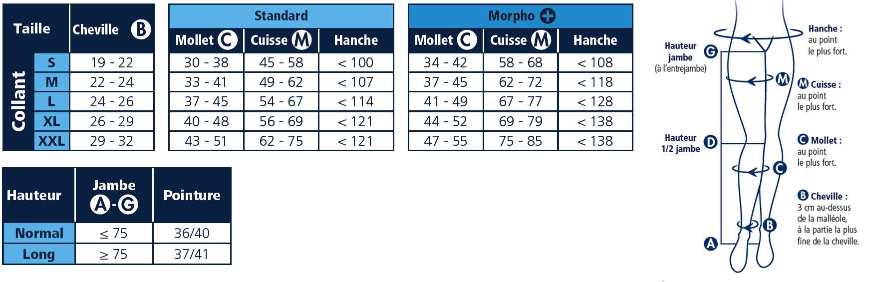 Tableau de taillage du collant de contention Diaphane Classe 2